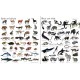 Usborne - 1000 Animals